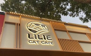 台中餐廳立體金屬背光字招牌 - 家鋐招牌客製化作品